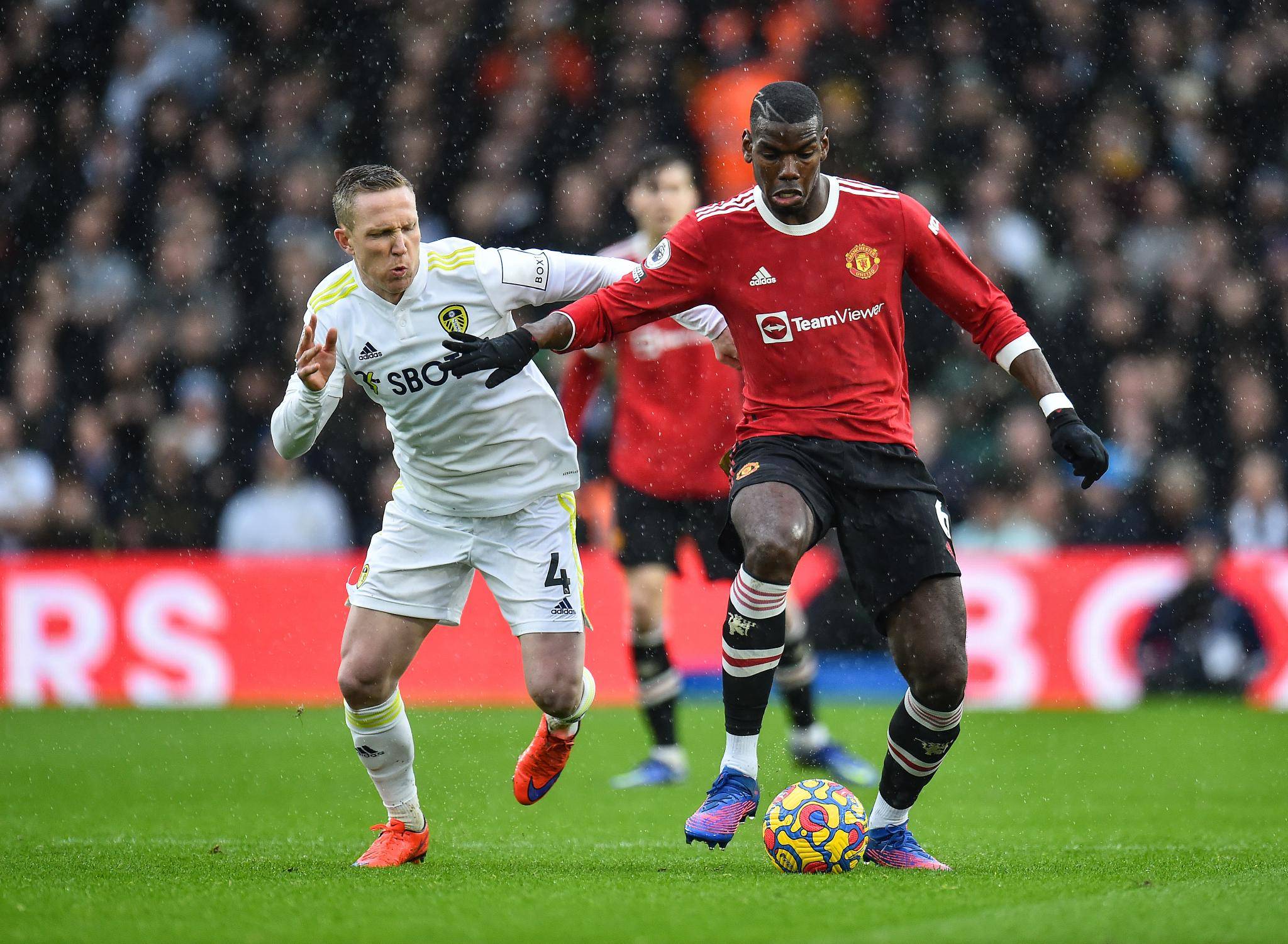 会专家迪马 会专家迪马