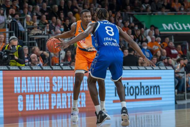 们提供了一 们提供了一